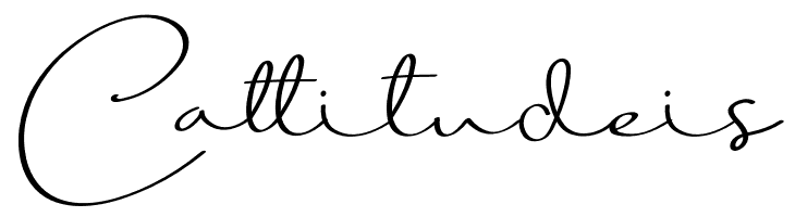 BeautyDream  Free Fonts Download