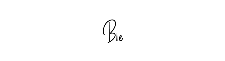 Gashington Classy  Free Fonts Download