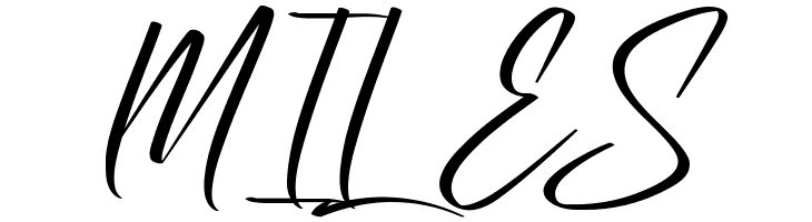 Lithonia Demo  Free Fonts Download