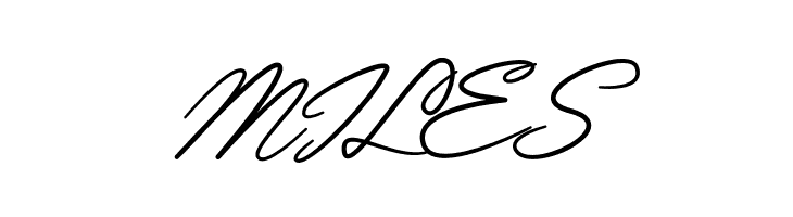 Piratte Diarys  Free Fonts Download