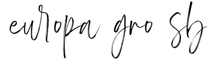 Marriott  Free Fonts Download