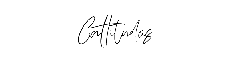 AdustineSignature-Regular  Free Fonts Download