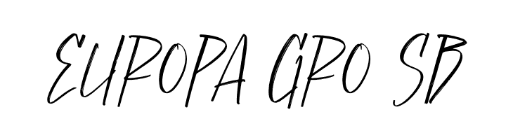 Justice Hunter  Free Fonts Download