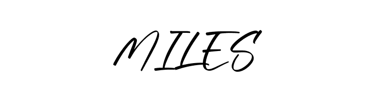 Animal Chariot  Free Fonts Download