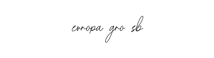 Beam Visionary Signature  Free Fonts Download