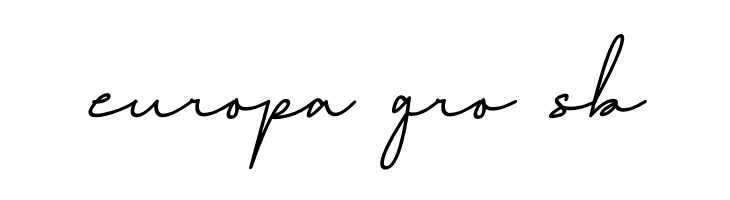 Healing Fairy Italic  Free Fonts Download