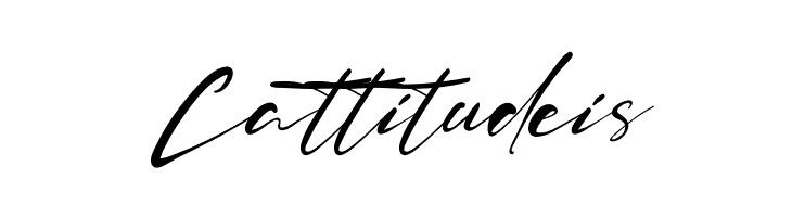 Charlie Perth  Free Fonts Download