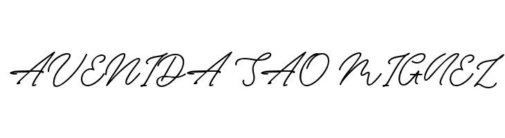 Bryan Coyne  Free Fonts Download