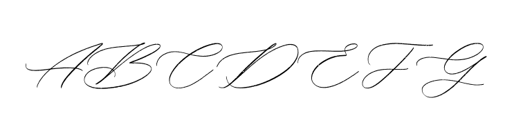 Bellychestor Free Regular  Free Fonts Download
