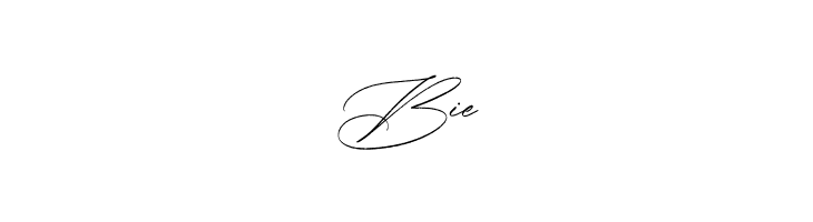 Bellychestor Free Regular  Free Fonts Download