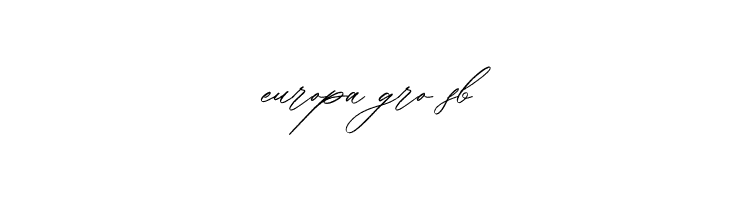 Bellychestor Free Regular  Free Fonts Download