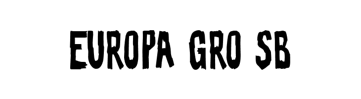 The Bride of the Leader  Free Fonts Download