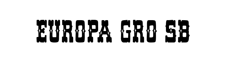 Magnificent West  Free Fonts Download