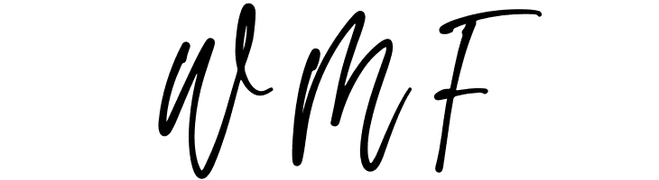 The flash  Free Fonts Download