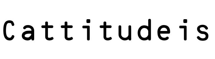 BizFonts C39 XLS Free Version  Free Fonts Download