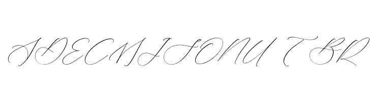 Liontinela Realise  Free Fonts Download