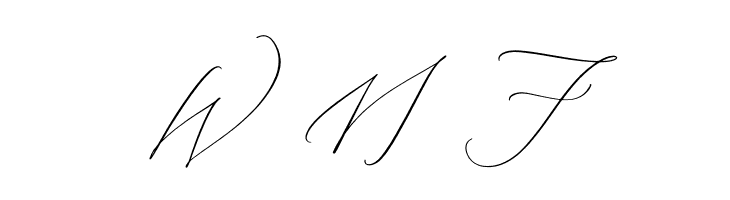 Liontinela Realise  Free Fonts Download