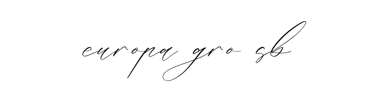 Liontinela Realise  Free Fonts Download