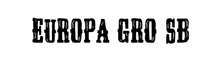 Wild United State  Free Fonts Download