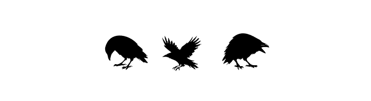 Raven Storm Symbols PERSONAL Regular  Free Fonts Download