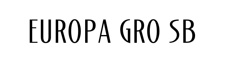 DivineBeautySansDemo  Free Fonts Download