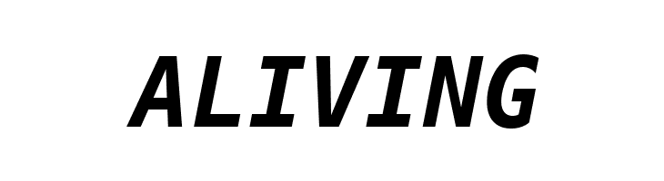 Bitstream Vera Sans Mono Bold Oblique  Free Fonts Download