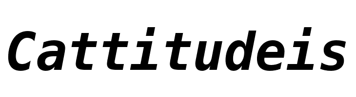 Bitstream Vera Sans Mono Bold Oblique  Free Fonts Download