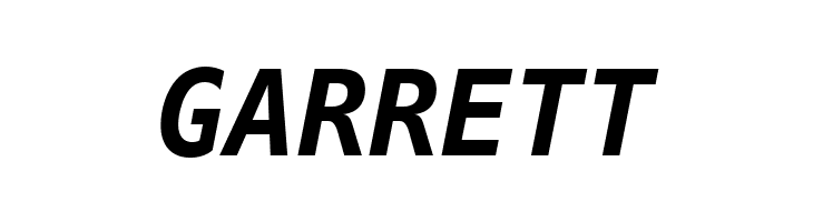 Bitstream Vera Sans Mono Bold Oblique  Free Fonts Download