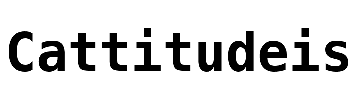 Bitstream Vera Sans Mono Bold  Free Fonts Download