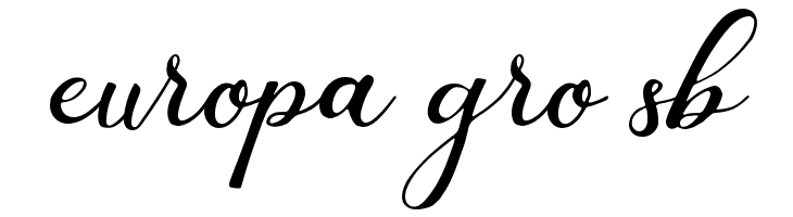 Premiere Christmas  Free Fonts Download