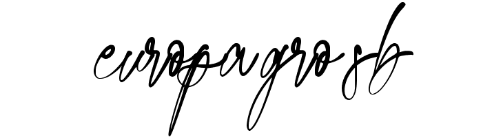 Holiday Doodle  Free Fonts Download