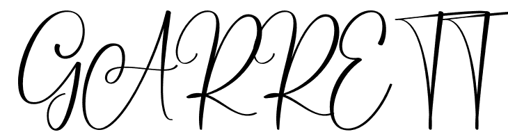 Aromatic Christmas  Free Fonts Download