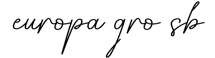 The Holiday  Free Fonts Download