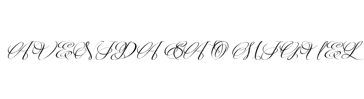 Christmas Calligraphy-Personal  Free Fonts Download