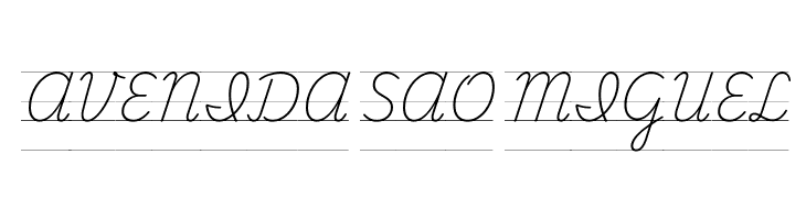 Playwrite NL Guides Regular  Free Fonts Download