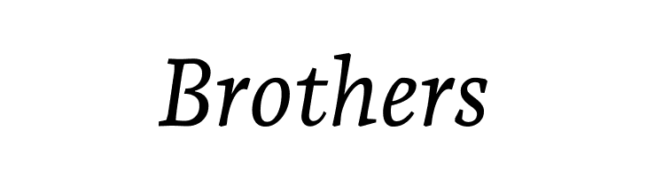 Andada Pro Italic  Free Fonts Download