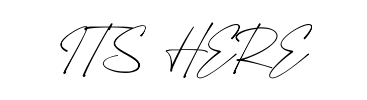 Resonant Chilliner Script  Free Fonts Download