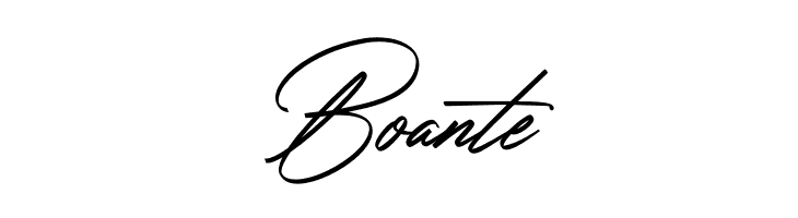 Amsterday Signature  Free Fonts Download