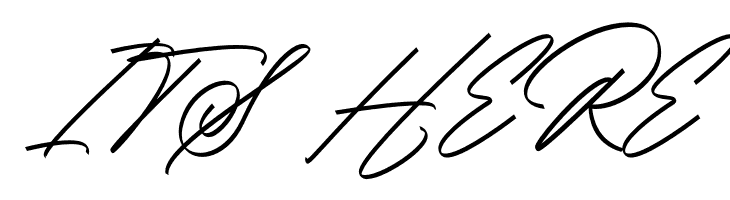 Amsterday Signature  Free Fonts Download