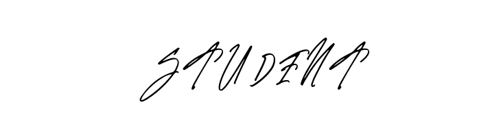 Borias Signature Signature  Free Fonts Download
