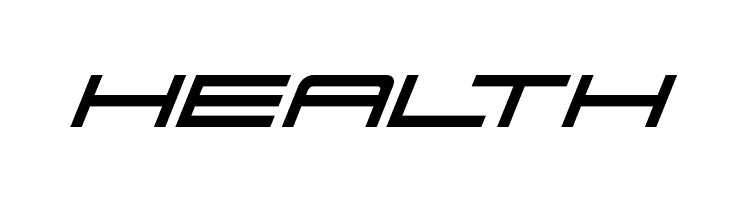 911 Porscha Italic  Free Fonts Download