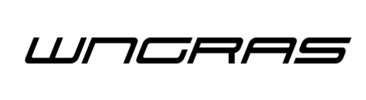 wngras 911 Porscha Italic Font