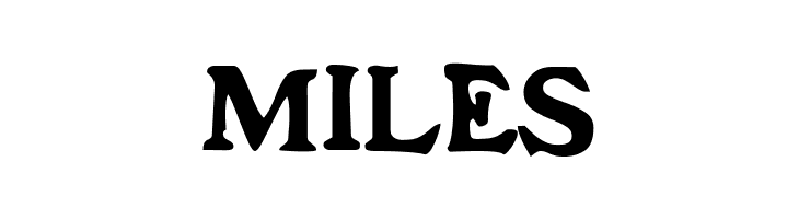 FrankenFont  Free Fonts Download