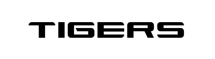 Xenotron Broadstroke  Free Fonts Download