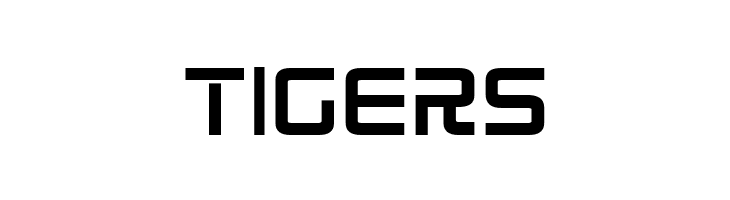 Radio Space Bold  Free Fonts Download