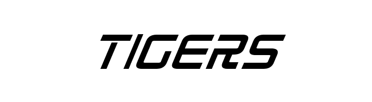 Radio Space Bold Italic  Free Fonts Download