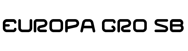 Racer Regular  Free Fonts Download