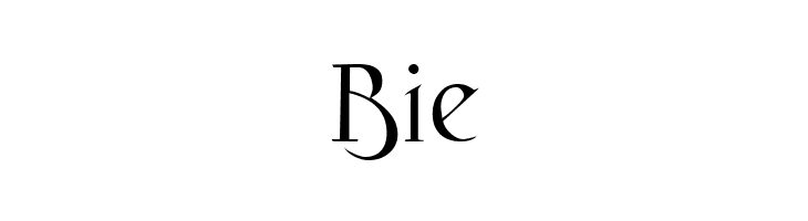 Fantasy One  Free Fonts Download