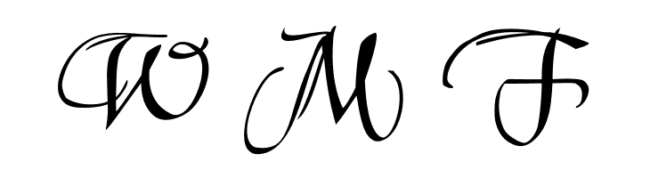 XmasTerpieceSwashes  Free Fonts Download