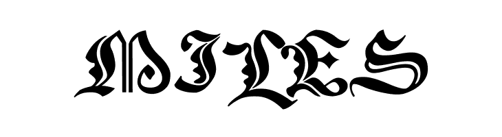 Xenippa  Free Fonts Download